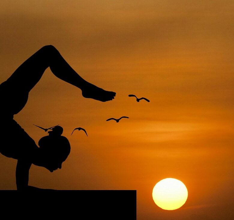 Siddha Yoga: El yoga perfecto